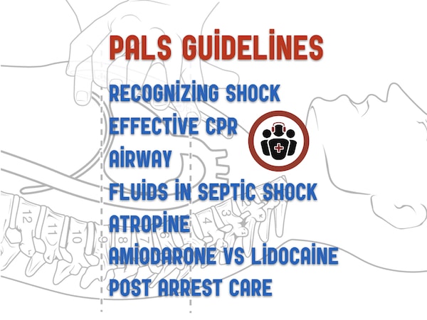 Cpr Guidelines 2017 Chart