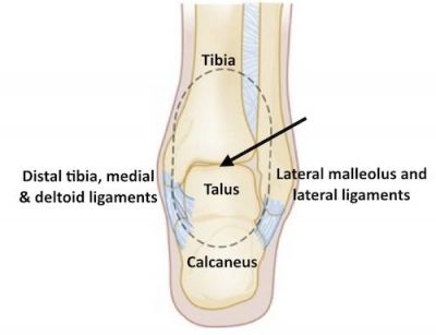 knee pad pants for basketball