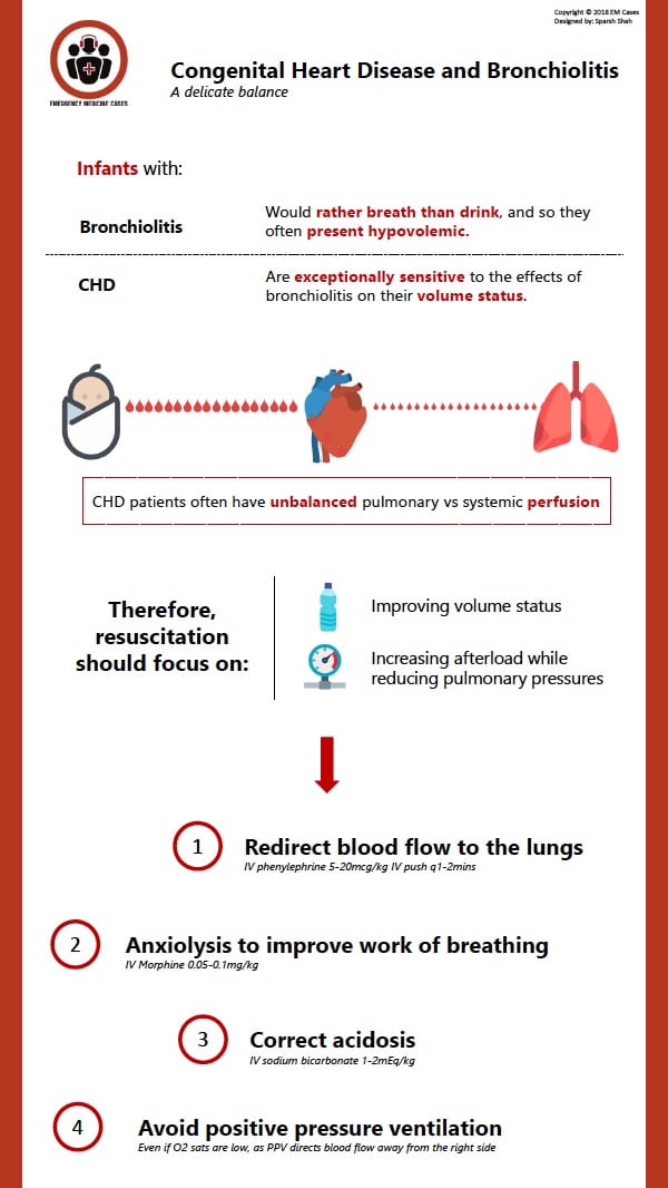 Bronchiolitis-CHD-Infographic