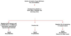 Uti Algorithm Design Pediatric UTI Myths and Misperceptions | Emergency Medicine Cases