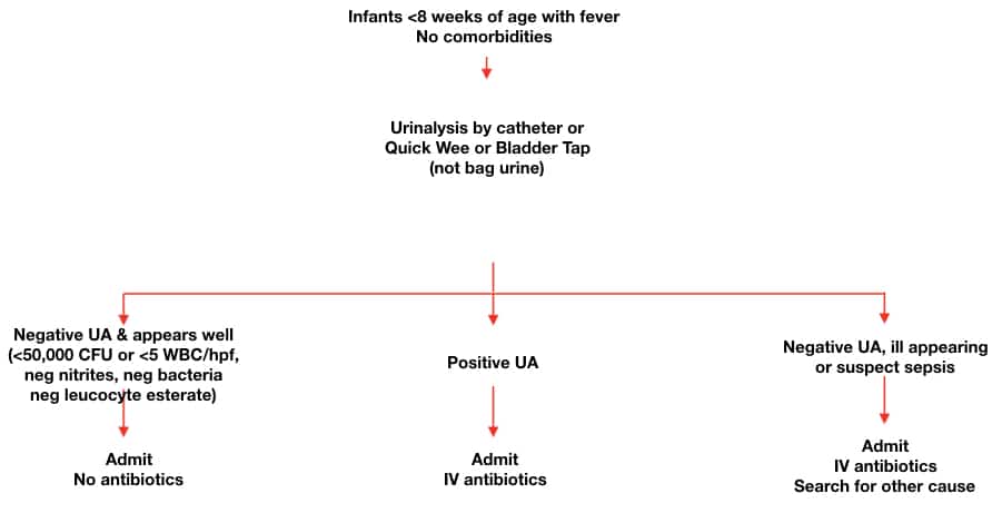 pediatric uti myths and misperceptions