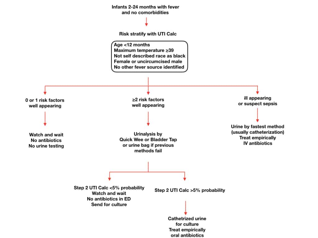 Pediatric UTI algorithm