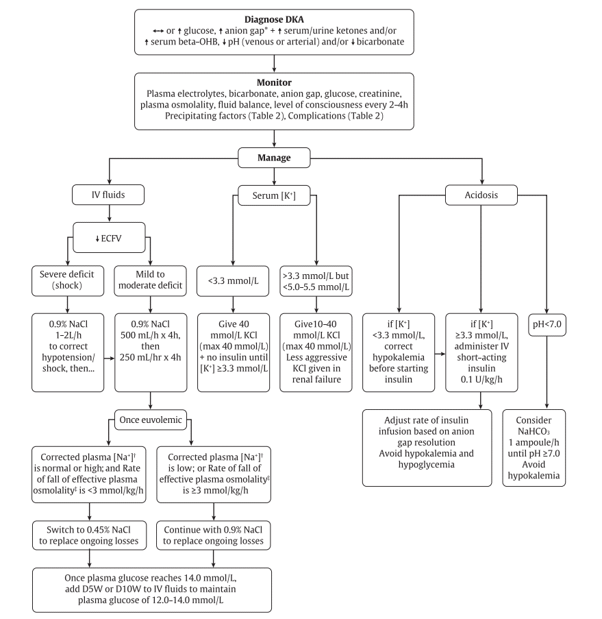 DKA algorithm