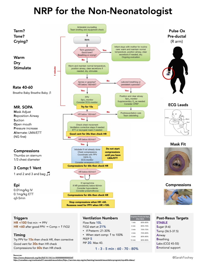 Neonatal Resuscitation, Emergency Medicine Cases