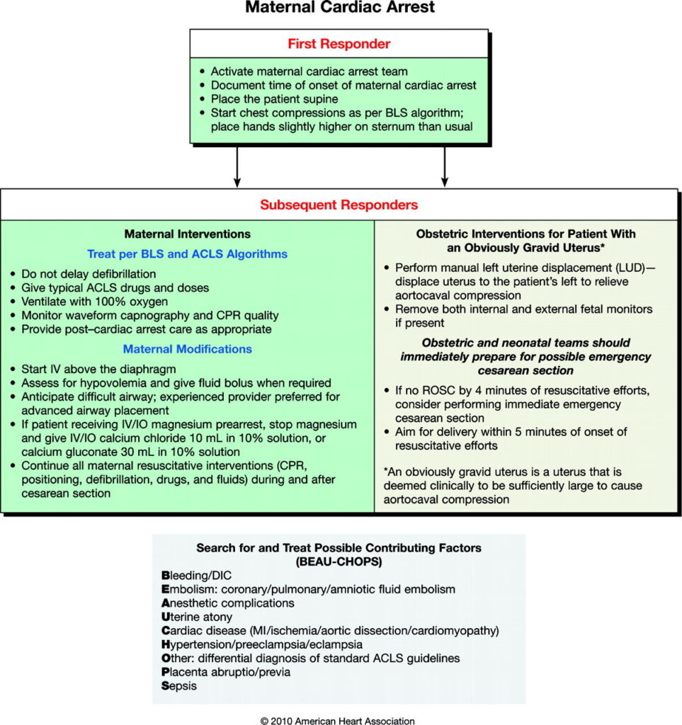 ACLS maternal cardiac arrest