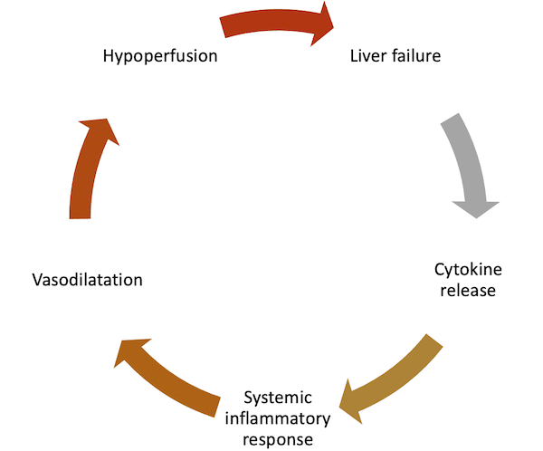 acute liver failure
