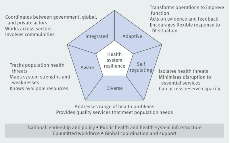 COVID-19 Pandemic Exposes the Importance of Resilience in Health System ...