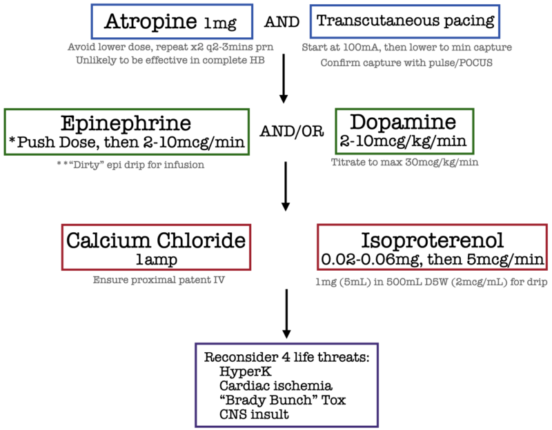 Treatment Of Bradycardia And Bradydysrhythmias Emergency Medicine Cases