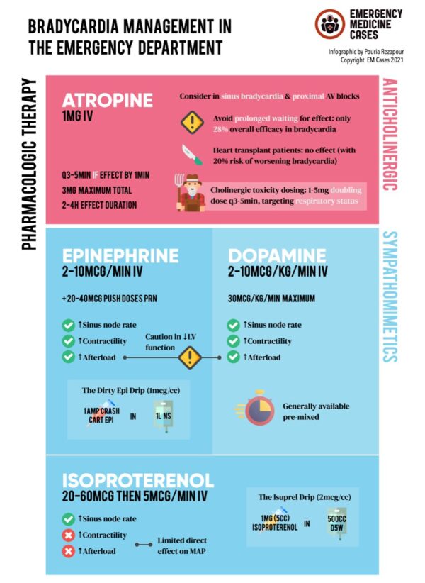 Treatment Of Bradycardia And Bradydysrhythmias Emergency Medicine Cases