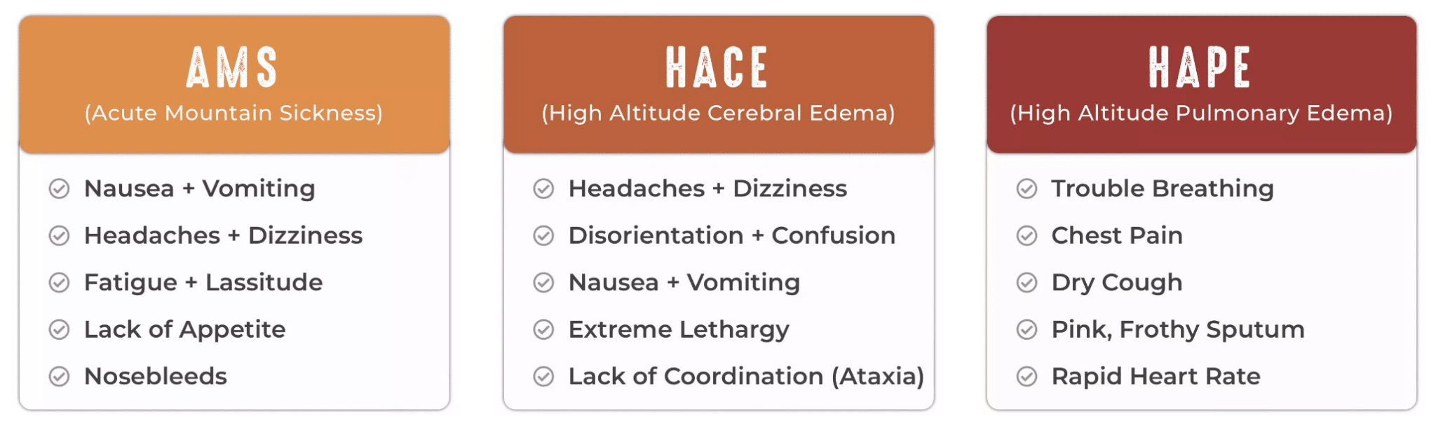 acute altitude illnesses