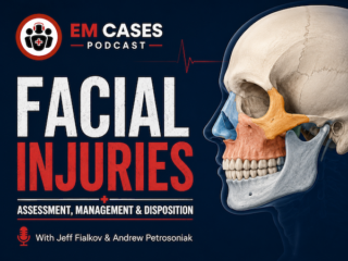 Facial Injuries Assessment, Management and Disposition